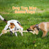 Bmag Heavy Duty Dog Rope Toys for Aggressive Chewers, Indestructible Natural Cotton Rope with 5 Knots