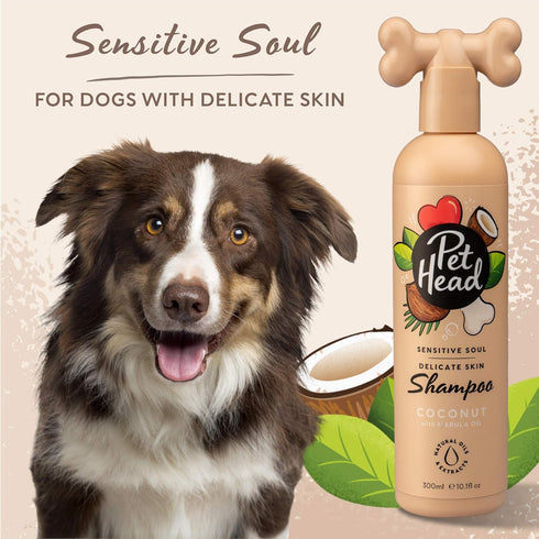 Sensitive Soul Shampoo for Dogs with Sensitive Skin - 16fl oz Coconut Scent, Hypoallergenic and Moisturizing