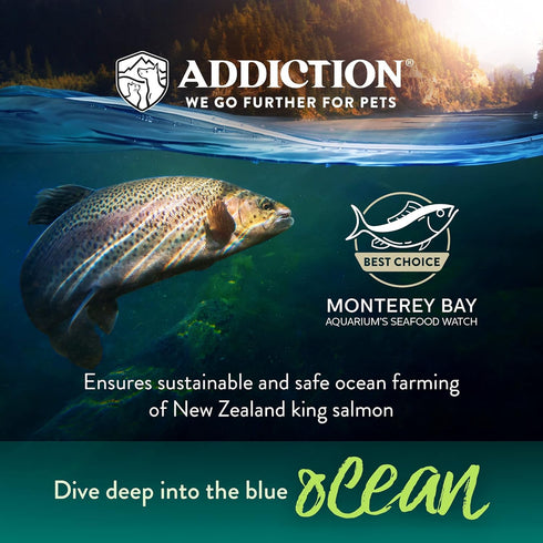 Addiction Salmon Bleu Cat Dry Cat Food, Complete and Balanced Diet, Skin and Coat Health, 4 lb (2 Packs)