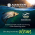Addiction Salmon Bleu Cat Dry Cat Food, Complete and Balanced Diet, Skin and Coat Health, 4 lb (2 Packs)