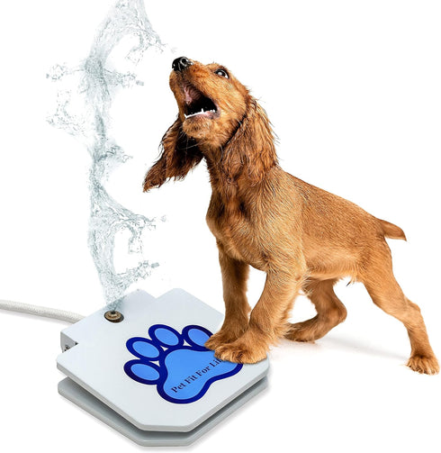 Pet Fit For Life Step-On Dog Pedal Water Fountain - Sprinkler Toy for Drinking and Water-Play, includes Giant Tennis