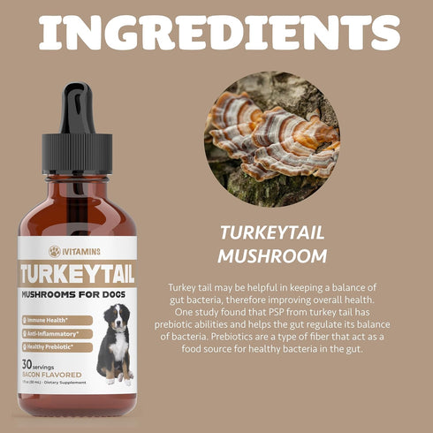 Turkey Tail Mushroom for Dogs - Immune System Boost, Healthy Prebiotic, Dog Mushroom Supplements, 1 fl oz