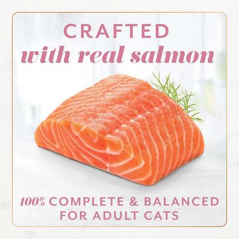 Fancy Feast Gems Pate Cat Food Mousse with Salmon and Savory Gravy - 4 oz. Boxes (Pack of 8)