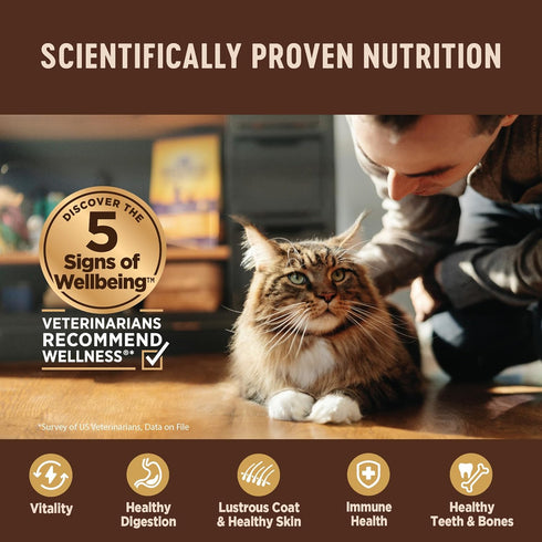 Wellness CORE Tiny Tasters Wet Cat Food Topper, Grain Free, Complete & Balanced Nutrition, 1.75 Ounce (Pack of 12)