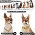 Chain Dog Collar: 18K Gold Cuban Link, Heavy Duty Slip Collar for Small Dogs (14", Fits Neck 10" to 12.5")