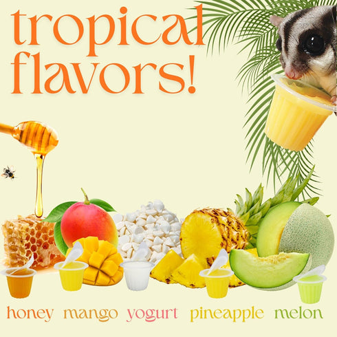 Marmosets, Nectar Pods (Pineapple) - Calcium-Fortified Jelly Fruit Treat - Sugar Gliders, Squirrels, Parrots