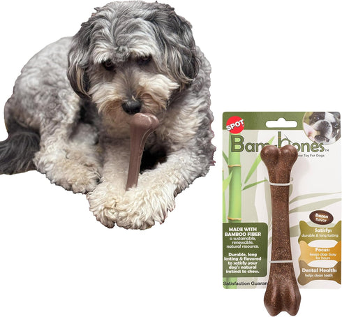 SPOT Bam-Bones Bone - Durable Long Lasting Dog Chew for Light to Moderate Chewers, 7.25in, Bacon Flavor