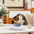 Howise 5.19 in Ceramic Cat Dishes, Shallow Cat Food Bowls for Food and Water, 3 Pack Navy Ceramic Bowls