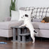 Furhaven Steady Paws Multi-Step Pet Stairs for High Beds & Sofas, Gray, 3-Step Design
