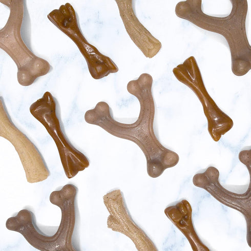 Nylabone Dog, Puppy Gourmet Style Strong Chew Toy, Wishbone Peanut Butter Small/Regular (1 Count)