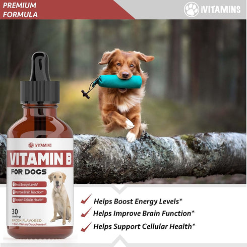 iVitamins B12 B12 B12 Do1 oz: Vitamin B for Dogs | Vitamin B Complex for Dogs | Vitamin for Dogs | Dog Vitamins |