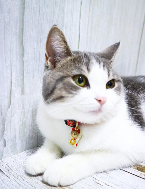 Breakaway Cat Collar with Bells & Fortune Cat Charm - Adjustable Chirimen Japanese Collar for Cats and Small Dogs