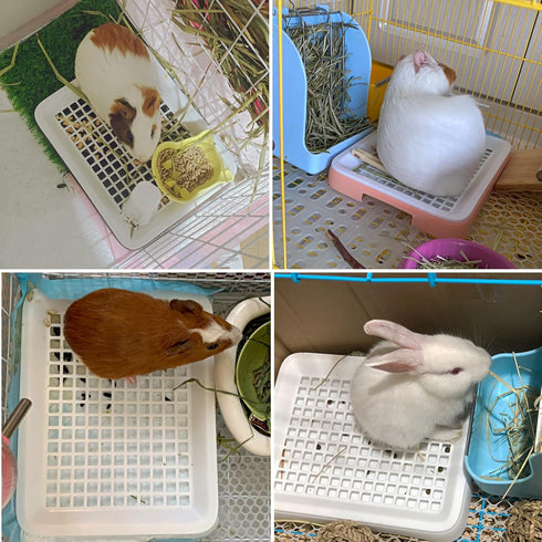 Chinchilla Chinchilla Fhiny Guinea Pig Litter Box, Small Pet Potty Training Bedding Litter Pan with Disposable Cage
