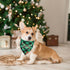 ADOGGYGO 2 Pack Christmas Dog Plaid Bandana Triangle Bib Set, Scarf Accessories for Medium Large Dogs