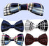 PET SHOW Pet Small Dogs Collar Attachment, Bow Ties for Puppies & Cats, Accessories for Parties