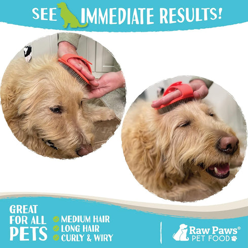 Raw Paws Grooming Brush, Hand-Held Rubber Tipped Pin Brush for Dogs & Cats, Bath Brush for Shedding