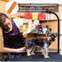 Pet Dog Grooming Loop - Nylon Restraint Noose Adjustable Fixed Dog Cat Safety Tether Straps, 6 Pack / 6 Color