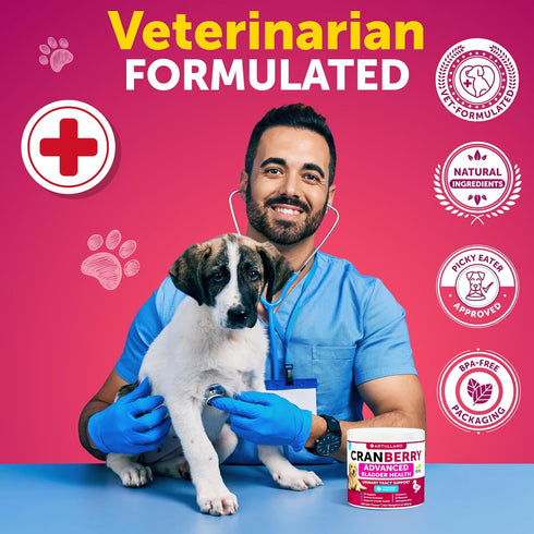 120 Dog UT Treats - Cranberry Chews for Dogs - Urinary Tract & Bladder Support Supplement with Natural Cranberry