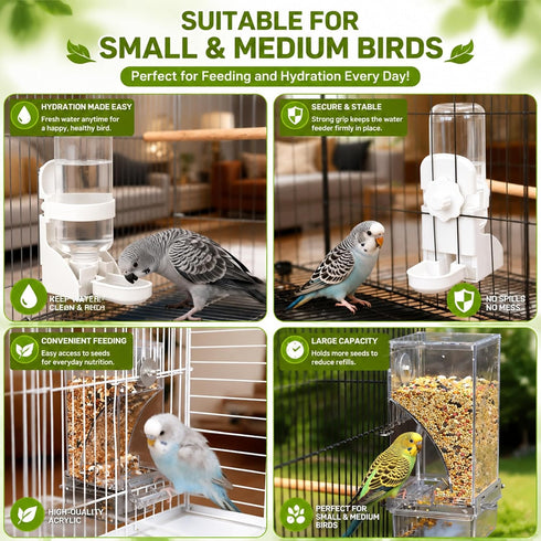 Set Rypet No Mess Bird Water Feeder Dispenser Automatic Bird Feeder Transparent Food Container Cage Acrylic Parrot