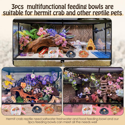 6 Pack Hermit Crab Accessories Hermit Crab Bathing Pool with Ramp Reptile Hermit Crab Water Food Bowls Dish Starter