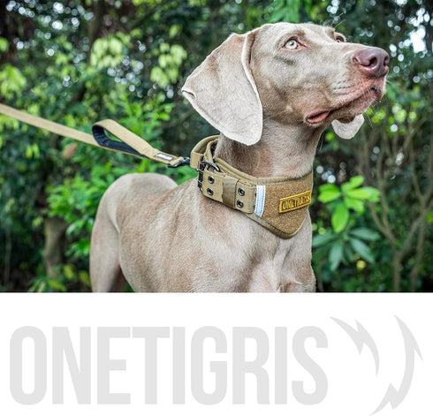 Handled No-Pull Dog Walking Leash, Long Traffic Leads for Medium to Large Dogs (Brown, 6FT) by OneTigris