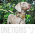 Handled No-Pull Dog Walking Leash, Long Traffic Leads for Medium to Large Dogs (Brown, 6FT) by OneTigris