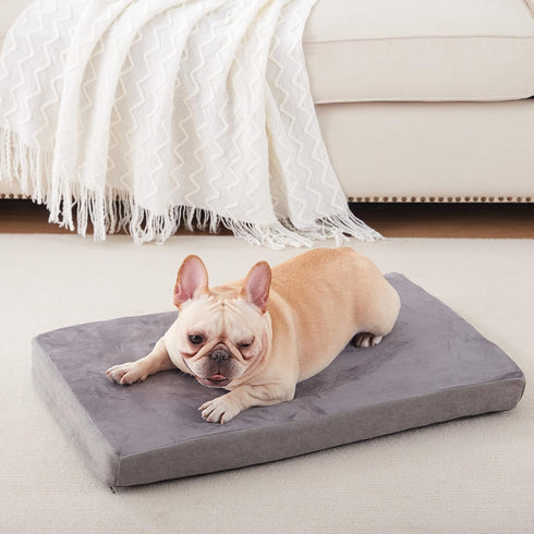 Orthopedic Memory Foam Dog Bed for Medium Dogs, Waterproof Cooling Pet Bed with Removable Washable Cover,