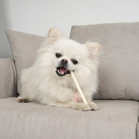 MON2SUN Dog Rawhide Twist Sticks, Natural 5 Inch Thin Sticks, 60 Count for Puppy and Small Dogs