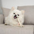 MON2SUN Dog Rawhide Twist Sticks, Natural 5 Inch Thin Sticks, 60 Count for Puppy and Small Dogs