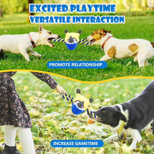 Upgraded Dog Squeak Toys, Tug of War Squeaky Parrot Toys with Strong Pull Rope for Small, Medium, Large Dogs
