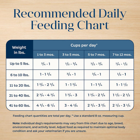 Blue Buffalo Basics Dry Dog Food for Puppies - Skin & Stomach Care, Limited Ingredient Diet for Dogs - Turkey Recipe,