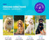 NaturVet Evolutions Probiotic & Superfoods Soft Chews for Dogs, 180ct - Digestive Enzymes, Bone Broth, Omega's