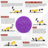 Yes4All Medium Firm Round PE Foam Roller, 12, 18, 24, 36 Inches for Pilates, Yoga, Stretching