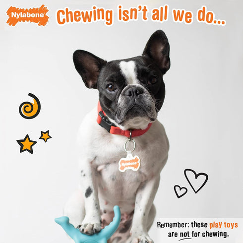Nylabone Rexii Interactive Dog Toy for Small Dogs, Lightweight Flexible Toy for Creative Play & Exercise