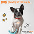 Nylabone Rexii Interactive Dog Toy for Small Dogs, Lightweight Flexible Toy for Creative Play & Exercise