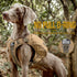 OneTigris Y-Shaped Dog Backpack - No Pull CAMLUS Dog Saddle Bag for Hiking Gear, Lightweight Dog Pack