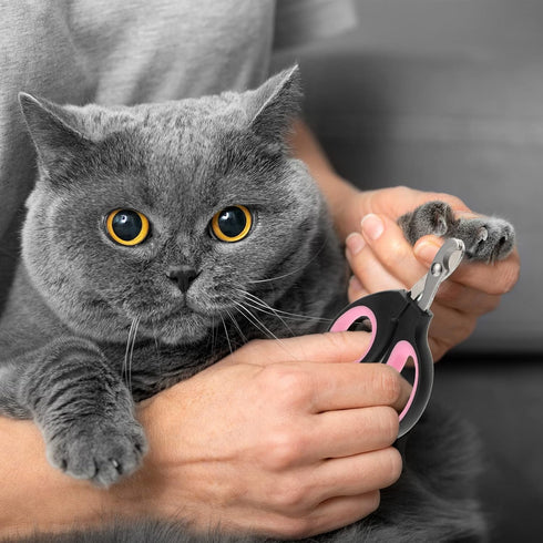 24 Trimmer Therwen Pcs Cat Nail Clipper Bulk Cat Nail Kitten Claw Clippers Pet Nails Cutter Claw Care for Cats Kittens