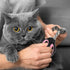 24 Trimmer Therwen Pcs Cat Nail Clipper Bulk Cat Nail Kitten Claw Clippers Pet Nails Cutter Claw Care for Cats Kittens