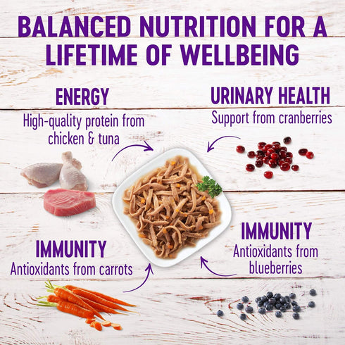 Wellness Healthy Indulgence Shreds Grain-Free Wet Cat Food, Complete & Balanced Meal, 3 oz Pouches, 8 Pack