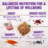 Wellness Healthy Indulgence Shreds Grain-Free Wet Cat Food, Complete & Balanced Meal, 3 oz Pouches, 8 Pack