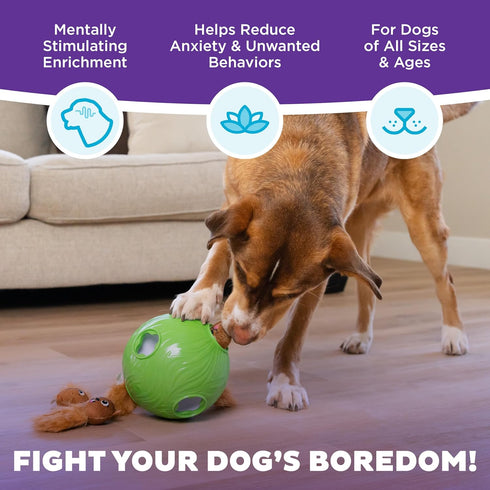 2 Outward Hound by Nina Ottosson Dog Snuffle N' Treat Ball Puzzle, Level Intermediate, Green, Large