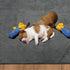 36x72 2Pack Washable Dog Pee Pads Reusable Whelping Pads, Absorb Dog Mats Non-Slip Puppy Training Pads for Whelping