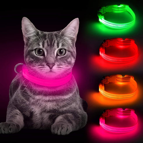BSEEN Light Up Dog Collars, Rechargeable Glowing LED Collar for Small Dogs & Cats (Pink)