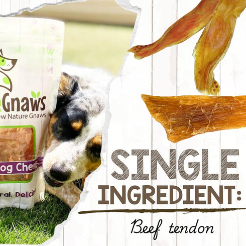 (8oz) Nature Gnaws Beef Tendons for Dogs - Mixed Thickness - Long Lasting for Small and Medium Dogs - Natural Beef