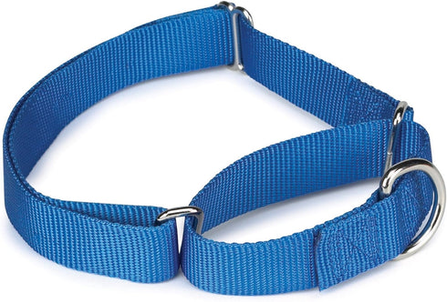Guardian Gear Nylon Martingale Dog Collar, Fits Necks 14" to 20", Blue