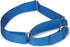 Guardian Gear Nylon Martingale Dog Collar, Fits Necks 14" to 20", Blue