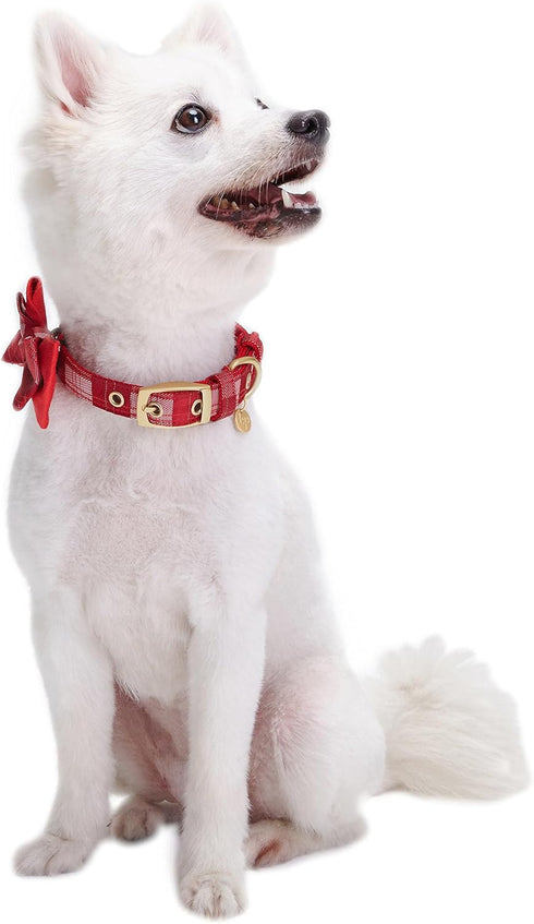 Blueberry Pet Luxurious Christmas Festival Plaid Checker Adjustable Dog Collar with Detachable Bowtie