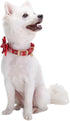 Blueberry Pet Luxurious Christmas Festival Plaid Checker Adjustable Dog Collar with Detachable Bowtie