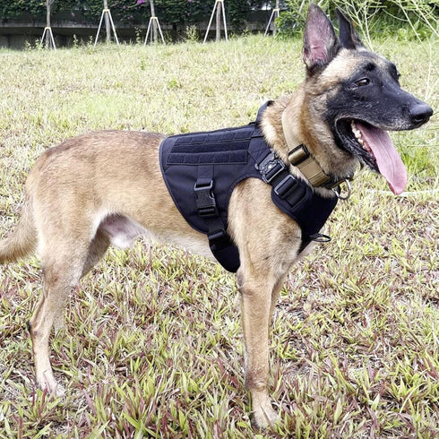 ICEFANG Tactical Dog Harness, Large Size, 2X Metal Buckle, Working Dog MOLLE Vest with Handle and No Pull Clip