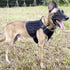 ICEFANG Tactical Dog Harness, Large Size, 2X Metal Buckle, Working Dog MOLLE Vest with Handle and No Pull Clip